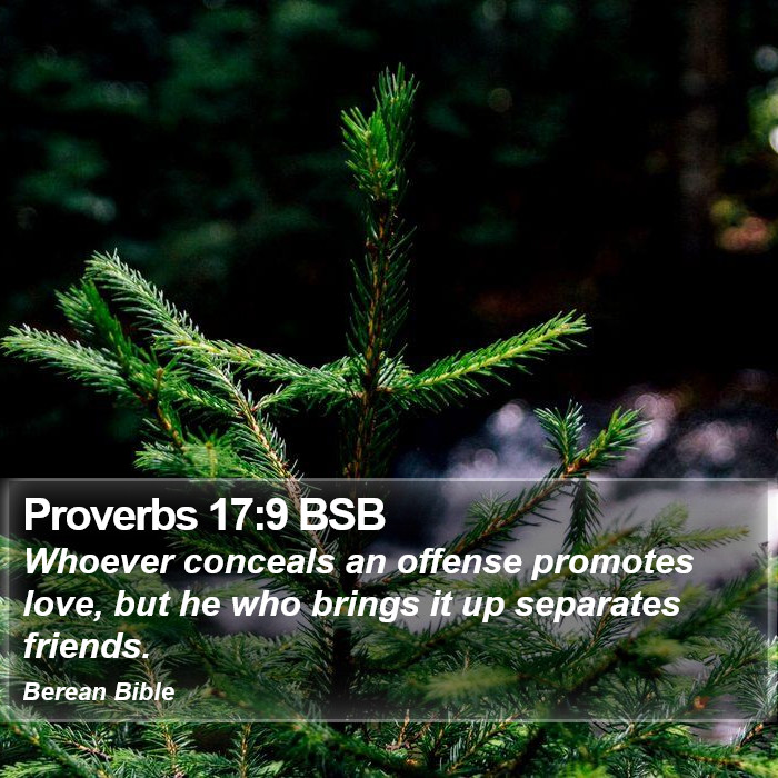 Proverbs 17:9 BSB Bible Study