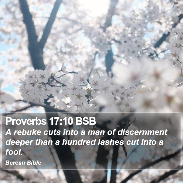 Proverbs 17:10 BSB Bible Study