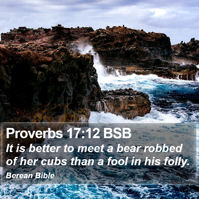 Proverbs 17:12 BSB Bible Study