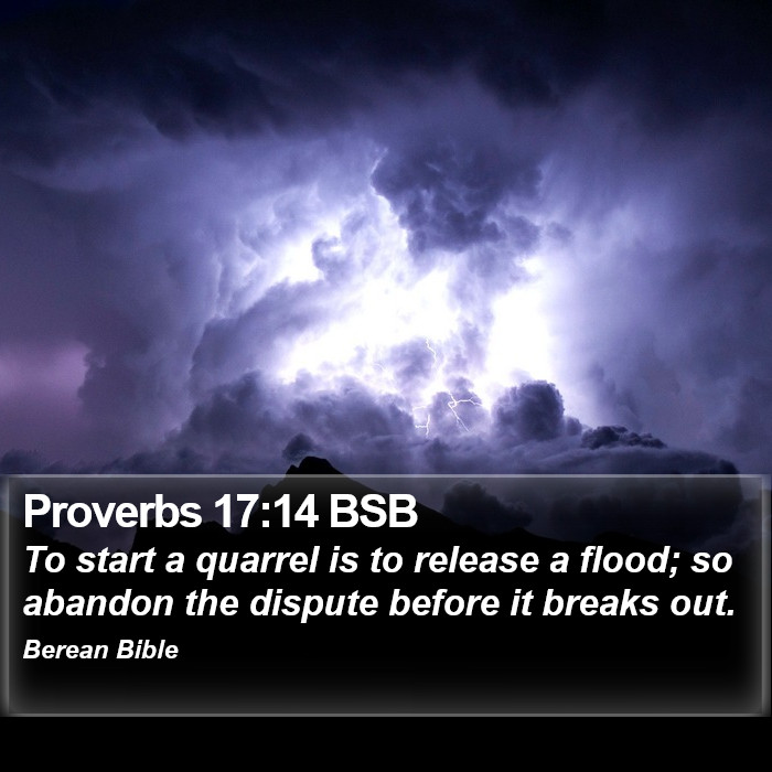 Proverbs 17:14 BSB Bible Study