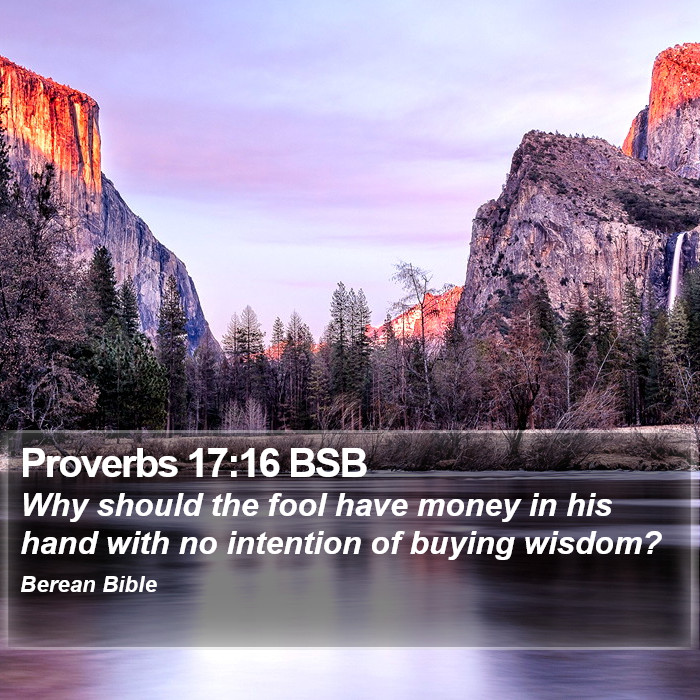 Proverbs 17:16 BSB Bible Study