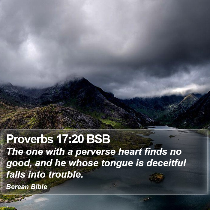 Proverbs 17:20 BSB Bible Study