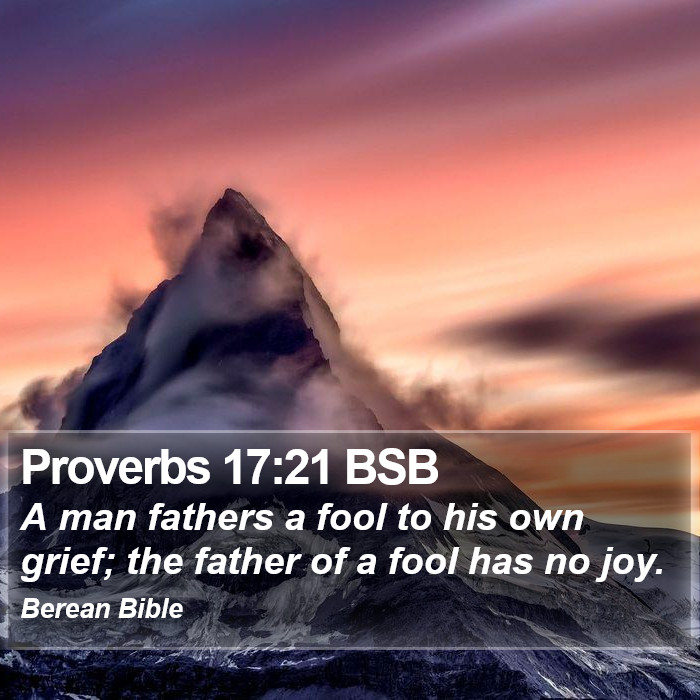 Proverbs 17:21 BSB Bible Study