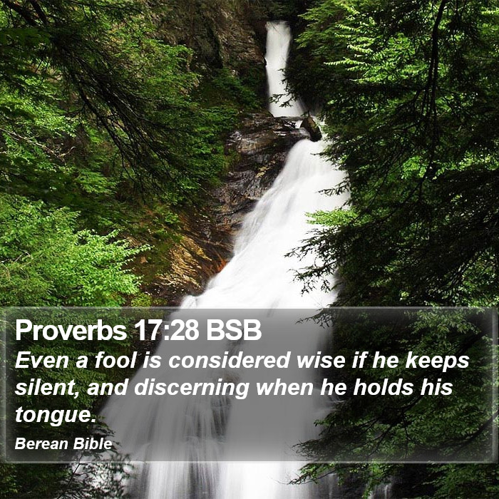 Proverbs 17:28 BSB Bible Study