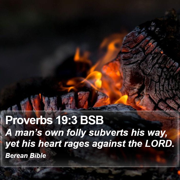 Proverbs 19:3 BSB Bible Study