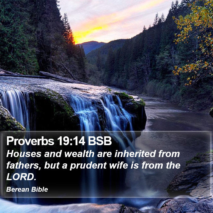 Proverbs 19:14 BSB Bible Study