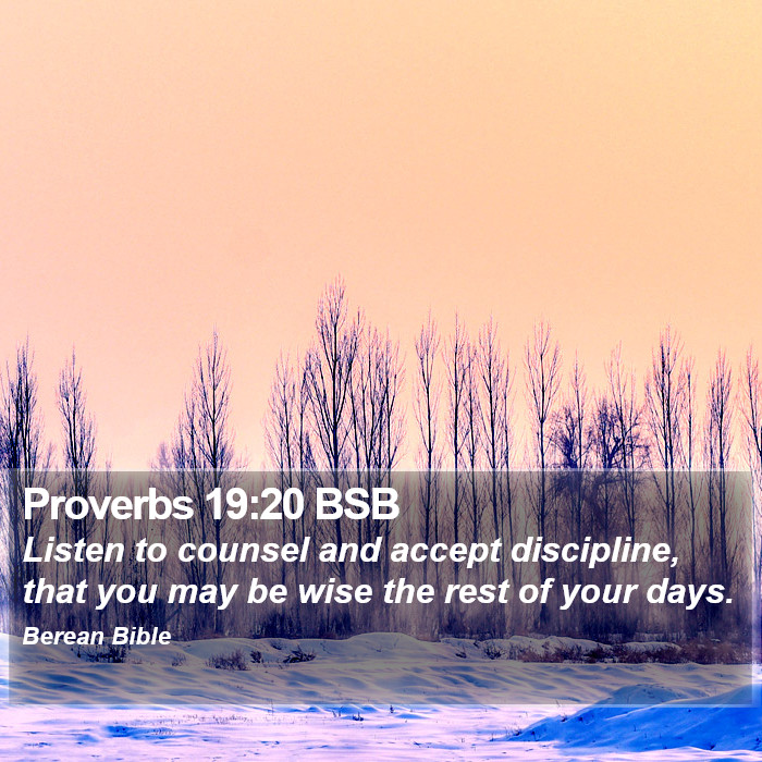 Proverbs 19:20 BSB Bible Study