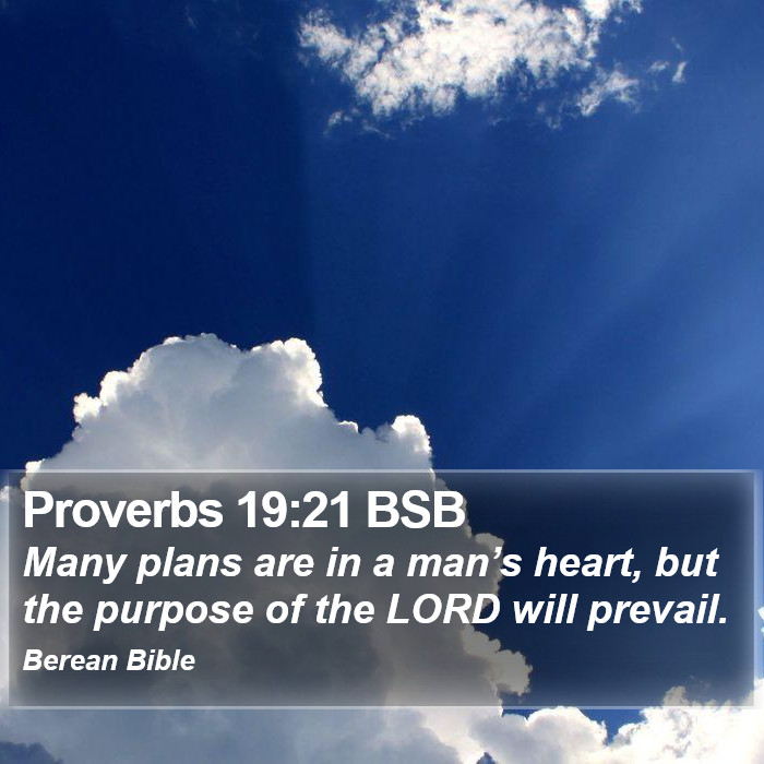 Proverbs 19:21 BSB Bible Study