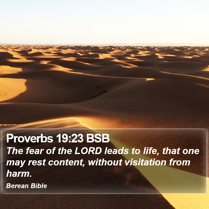 Proverbs 19:23 BSB Bible Study