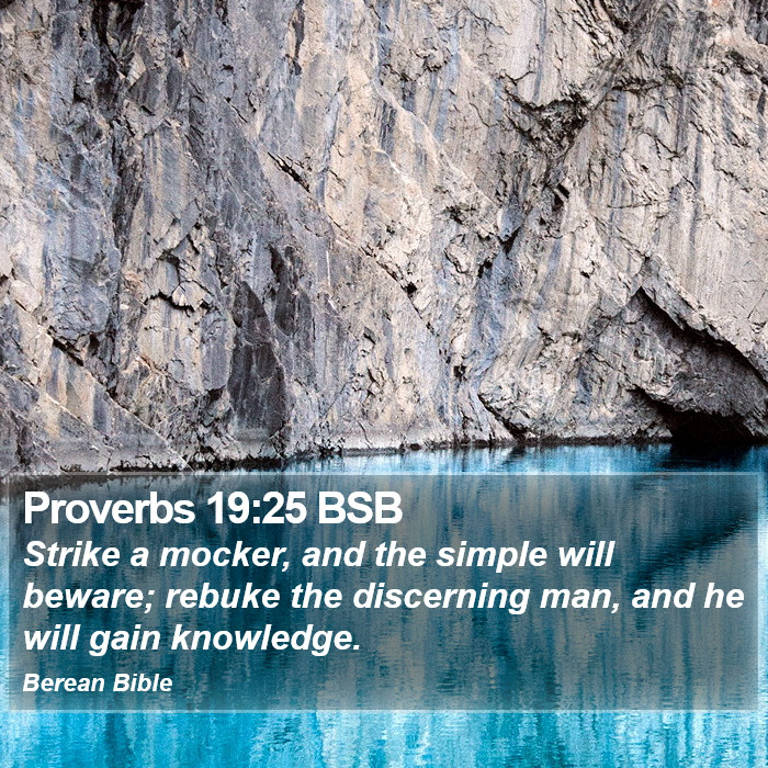 Proverbs 19:25 BSB Bible Study