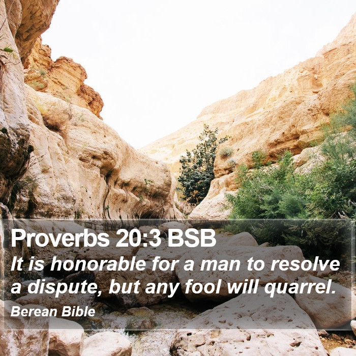 Proverbs 20:3 BSB Bible Study