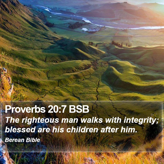 Proverbs 20:7 BSB Bible Study