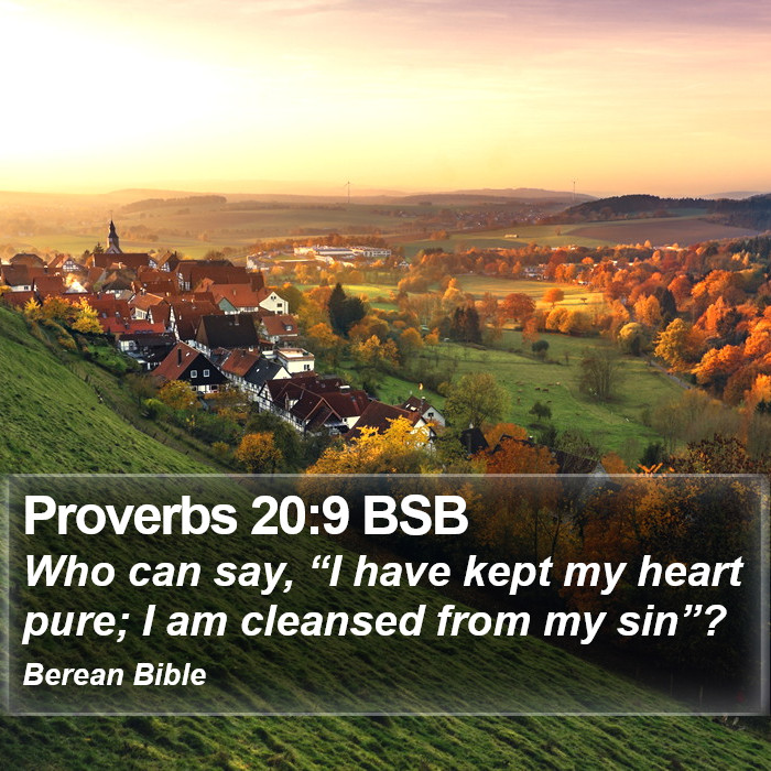 Proverbs 20:9 BSB Bible Study