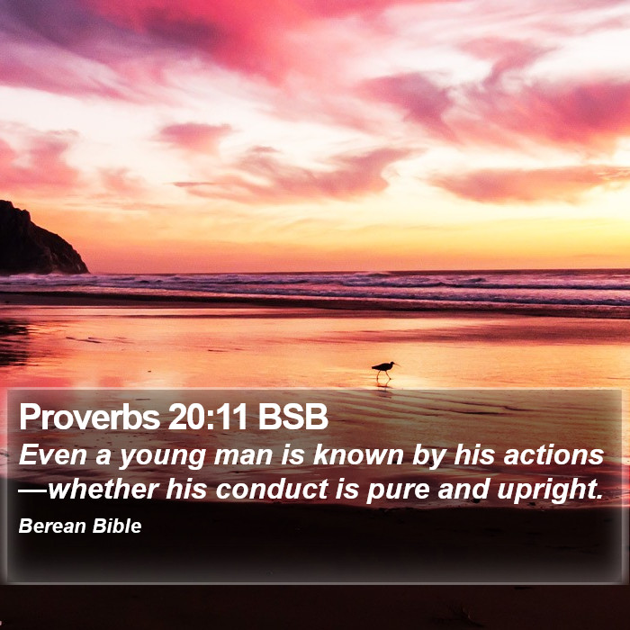 Proverbs 20:11 BSB Bible Study