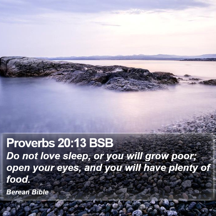 Proverbs 20:13 BSB Bible Study