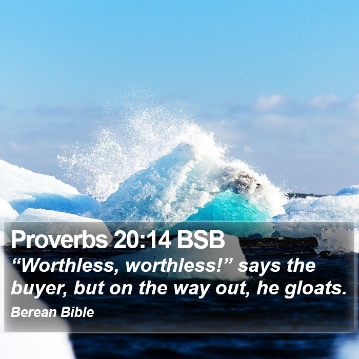 Proverbs 20:14 BSB Bible Study