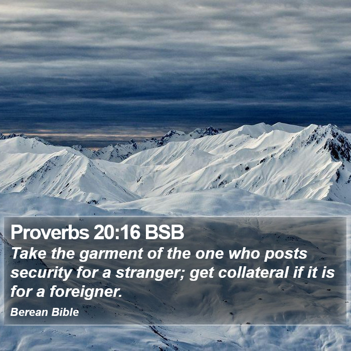 Proverbs 20:16 BSB Bible Study