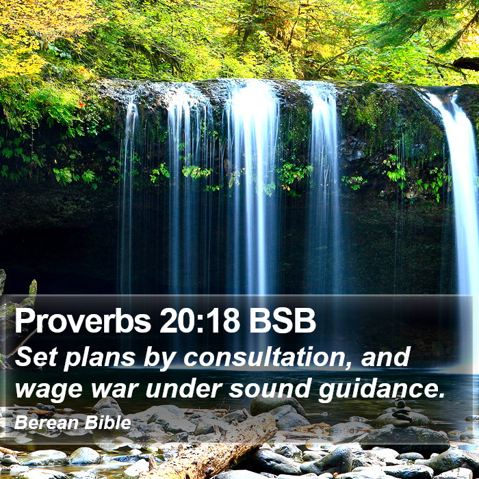 Proverbs 20:18 BSB Bible Study