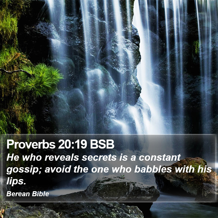 Proverbs 20:19 BSB Bible Study