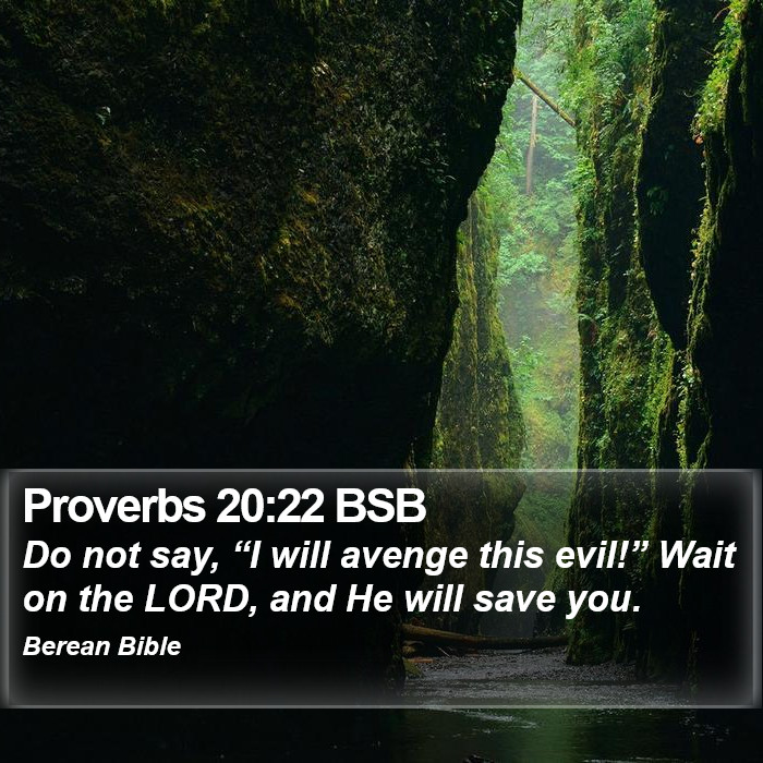 Proverbs 20:22 BSB Bible Study