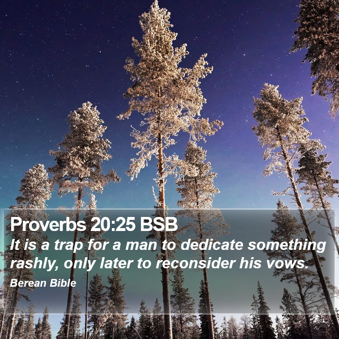 Proverbs 20:25 BSB Bible Study