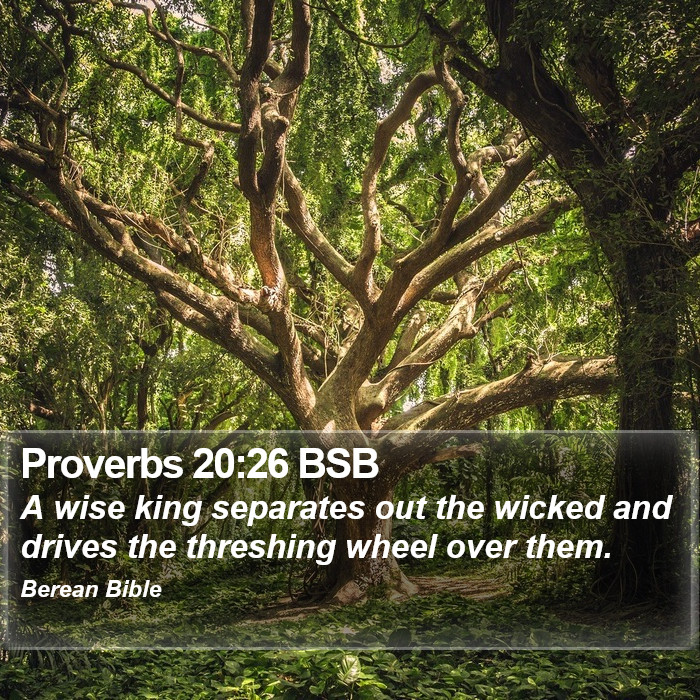 Proverbs 20:26 BSB Bible Study