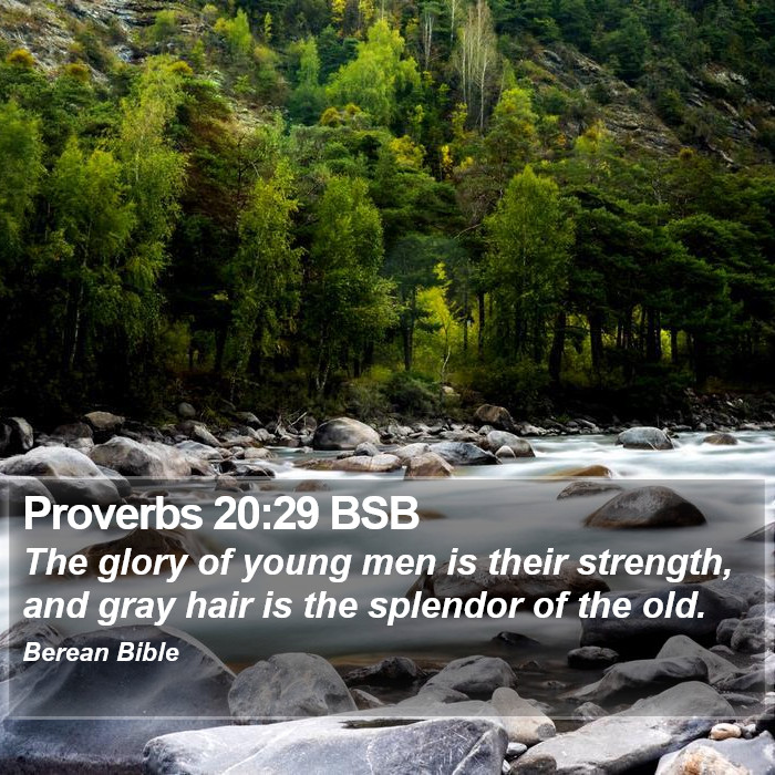 Proverbs 20:29 BSB Bible Study