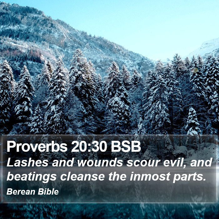 Proverbs 20:30 BSB Bible Study