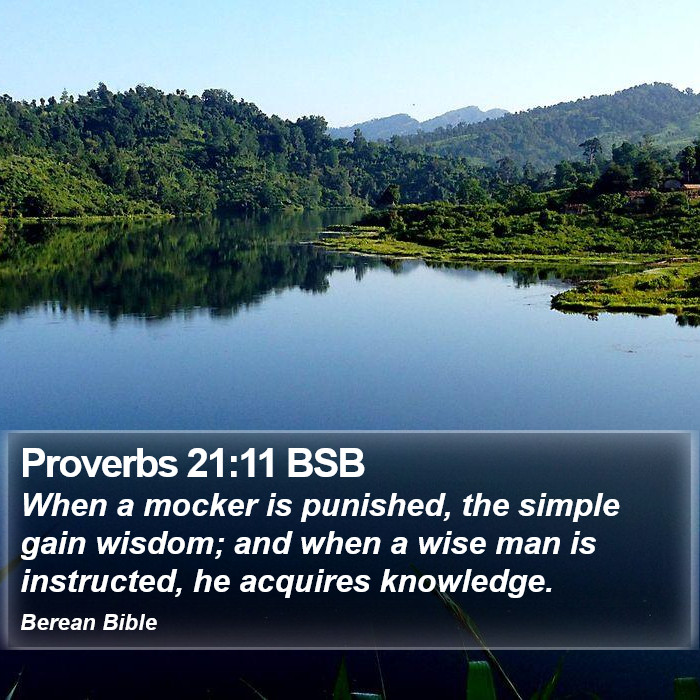 Proverbs 21:11 BSB Bible Study