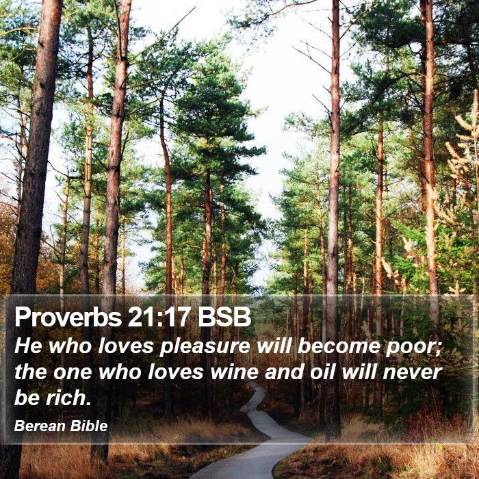 Proverbs 21:17 BSB Bible Study