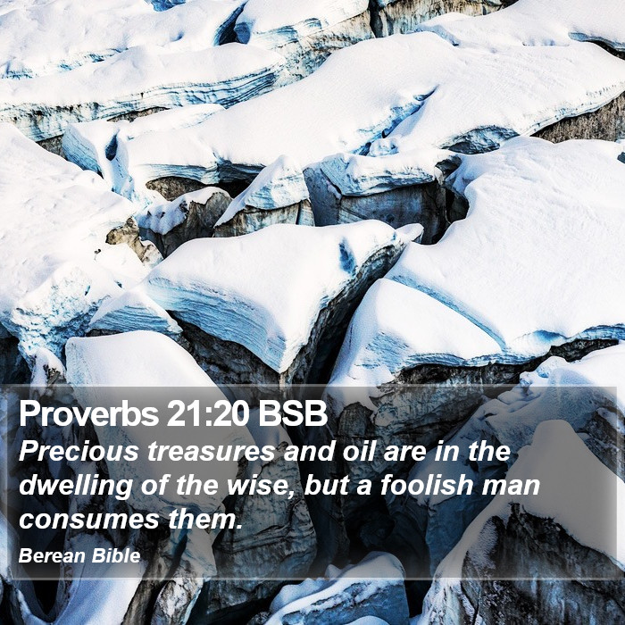 Proverbs 21:20 BSB Bible Study