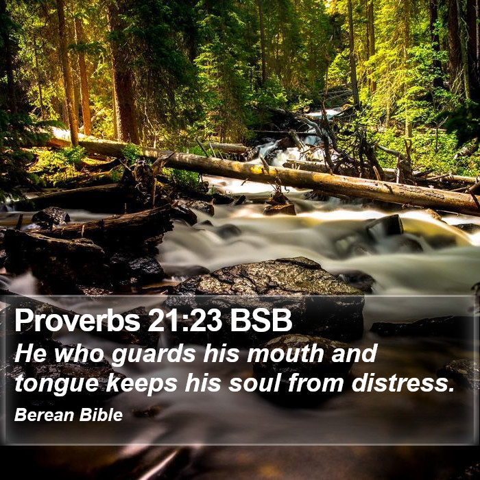 Proverbs 21:23 BSB Bible Study