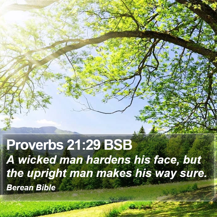 Proverbs 21:29 BSB Bible Study