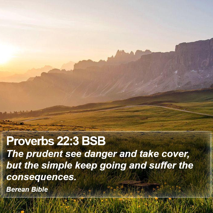 Proverbs 22:3 BSB Bible Study