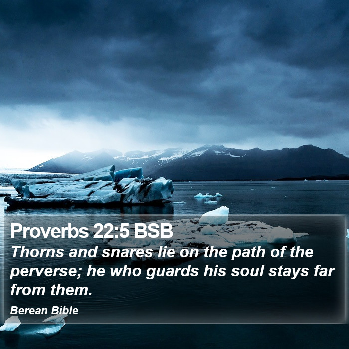 Proverbs 22:5 BSB Bible Study