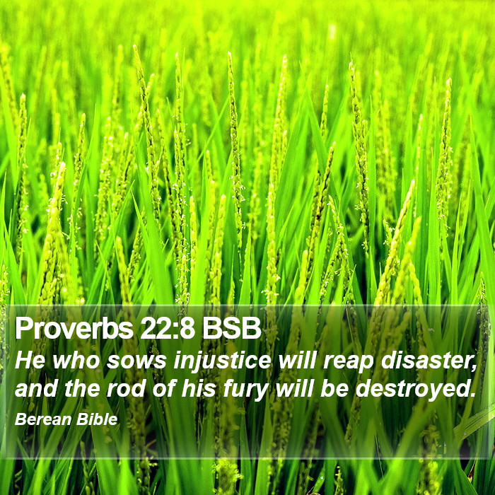 Proverbs 22:8 BSB Bible Study