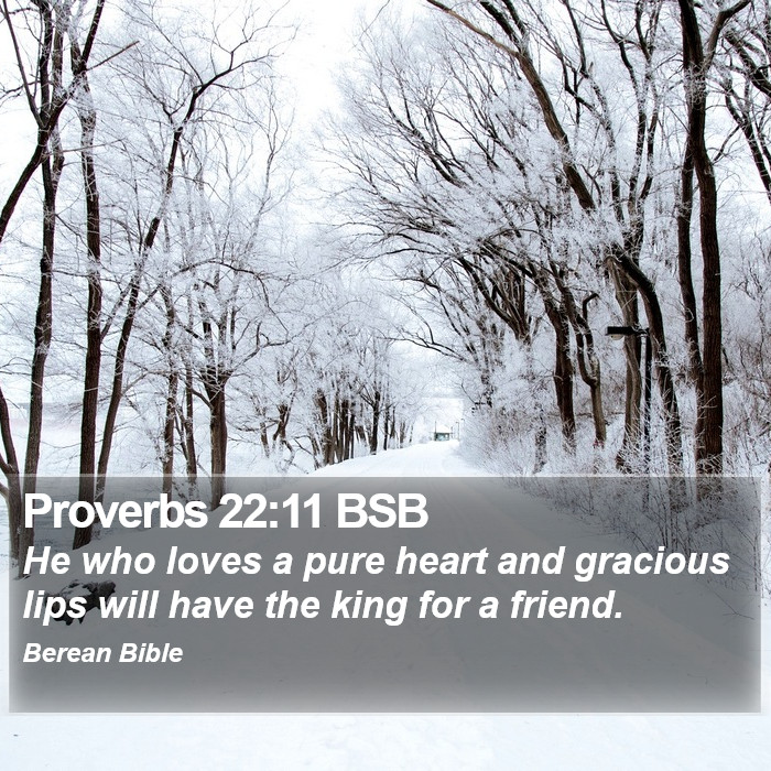 Proverbs 22:11 BSB Bible Study