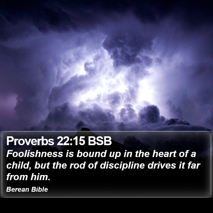 Proverbs 22:15 BSB Bible Study