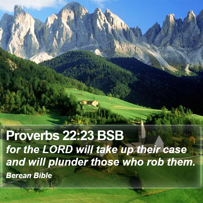 Proverbs 22:23 BSB Bible Study