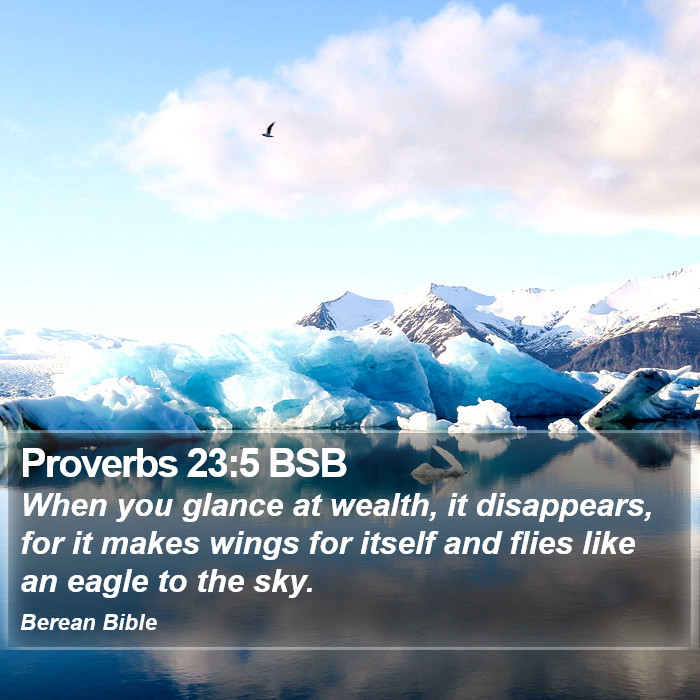 Proverbs 23:5 BSB Bible Study