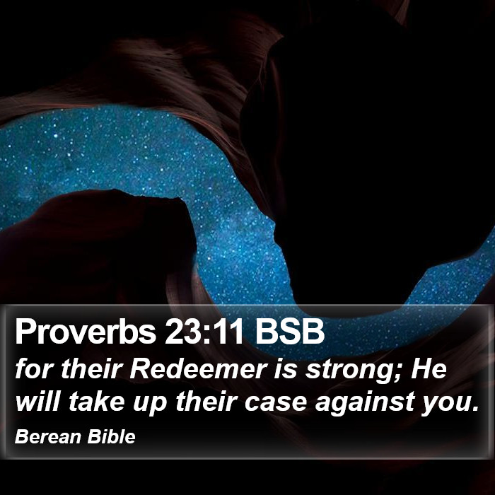 Proverbs 23:11 BSB Bible Study