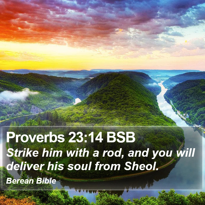 Proverbs 23:14 BSB Bible Study