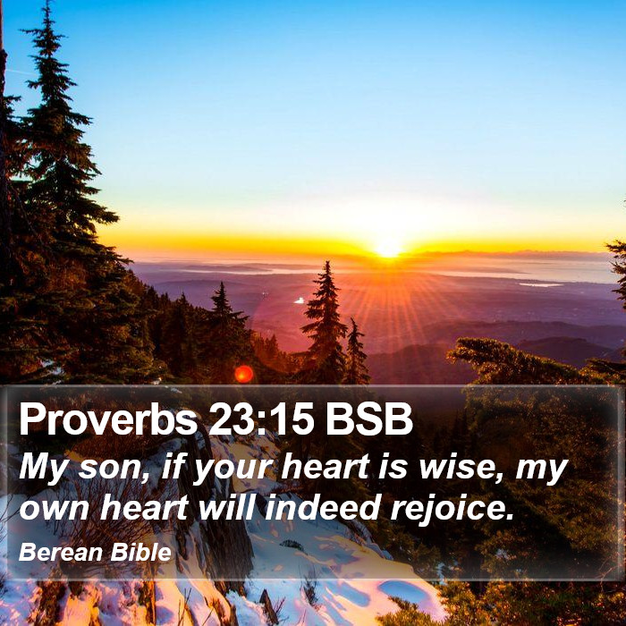 Proverbs 23:15 BSB Bible Study