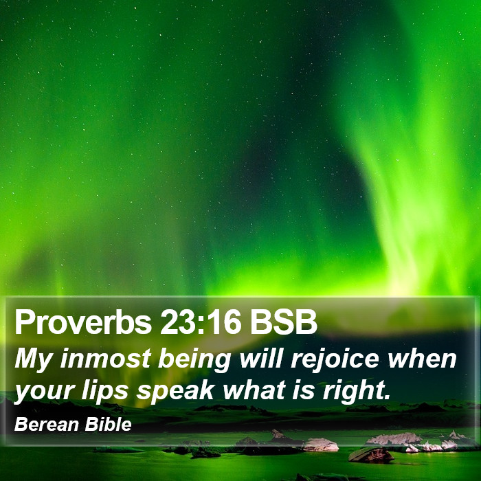 Proverbs 23:16 BSB Bible Study