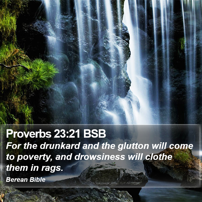 Proverbs 23:21 BSB Bible Study