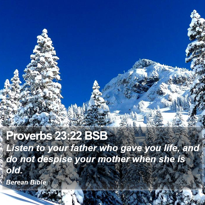 Proverbs 23:22 BSB Bible Study