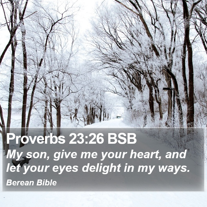 Proverbs 23:26 BSB Bible Study