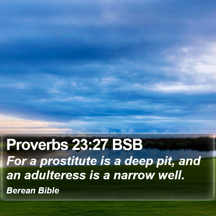 Proverbs 23:27 BSB Bible Study