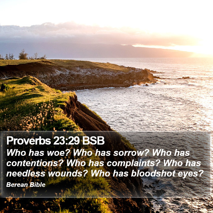 Proverbs 23:29 BSB Bible Study