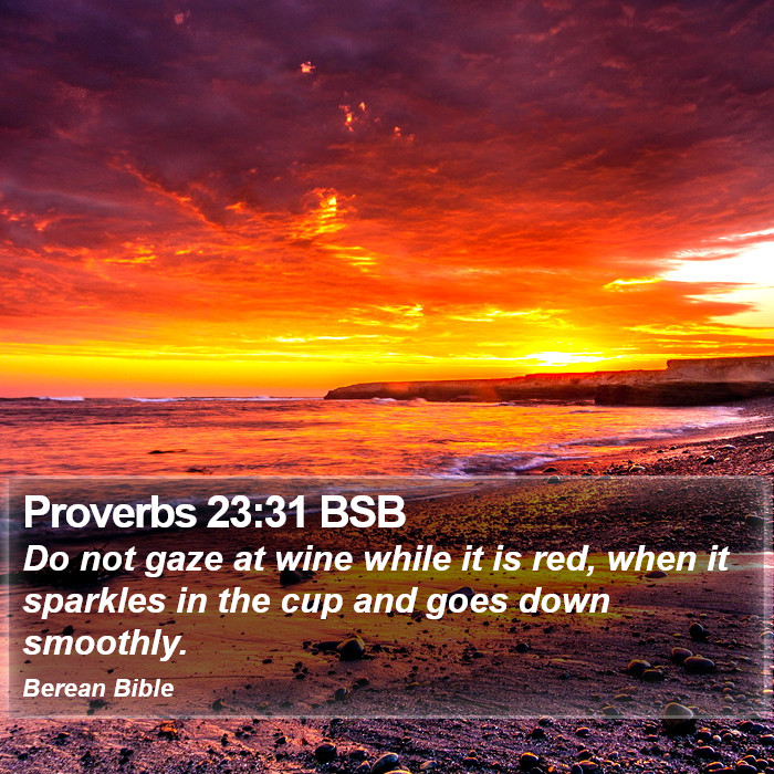 Proverbs 23:31 BSB Bible Study